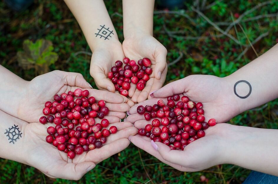 Cranberry to potency